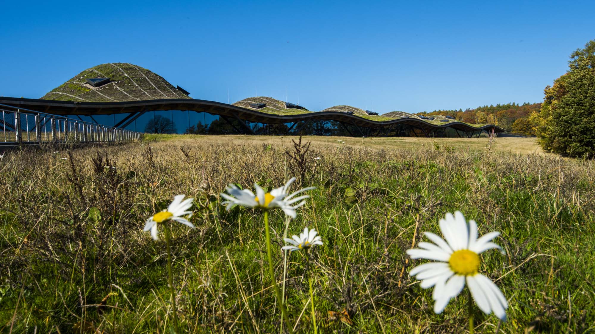 You might not know it, but this structure houses the Macallan distillery. Photo: Supplied