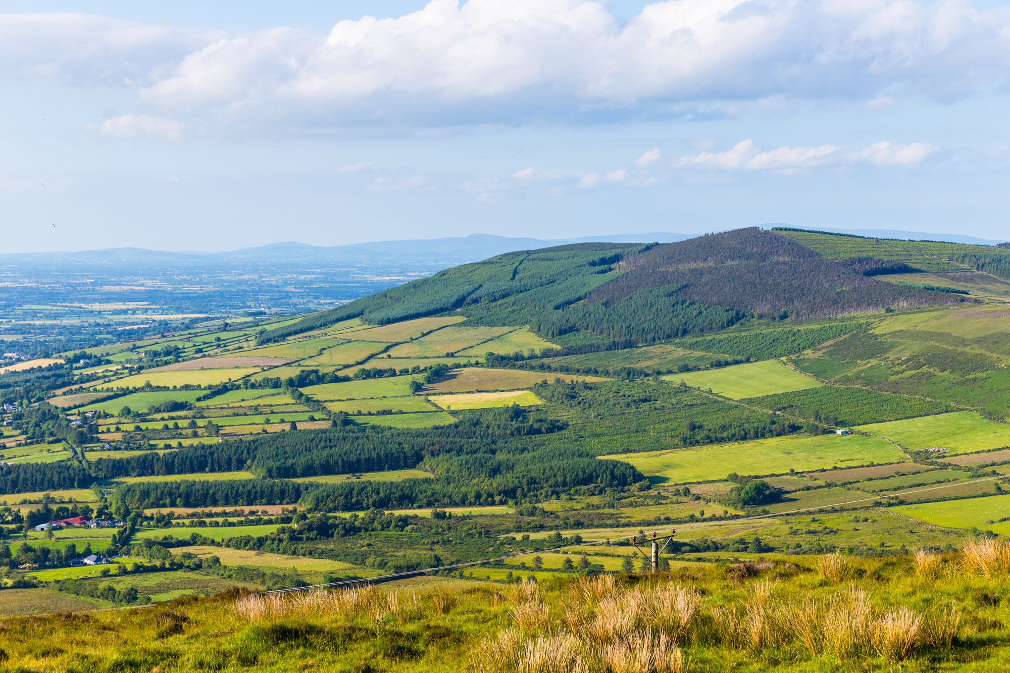 County Carlow, Ireland is home to Royal Oak Distillery, which makes The Busker brand of irish whiskey.  Photo: Shutterstock