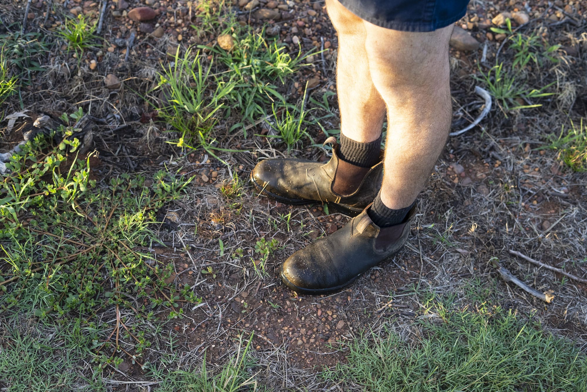 There is a mix of soils across Margan’s vineyards, mostly sandy soil near the creek, and a richer, red volanic soil. Photo: Boothby