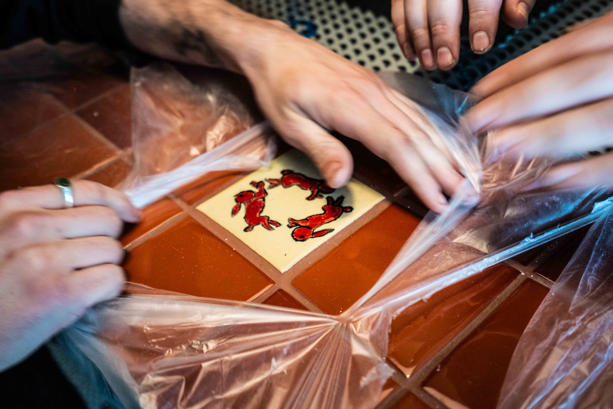 Three rabbits. Photo: Fred Siggins