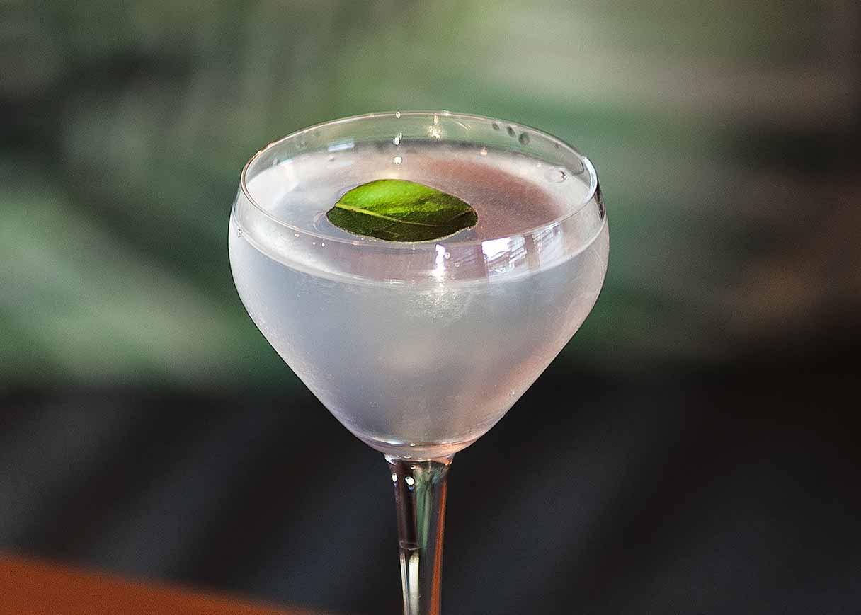 This Gimlet riff features lime leaf and coconut