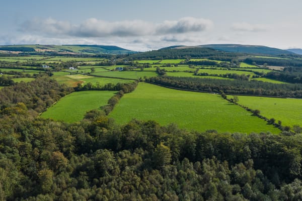 Explainer: what makes Irish whiskey unique?