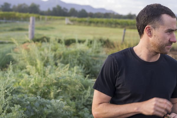 Ollie Margan at his family's vineyard in January, 2025. Photo: Boothby